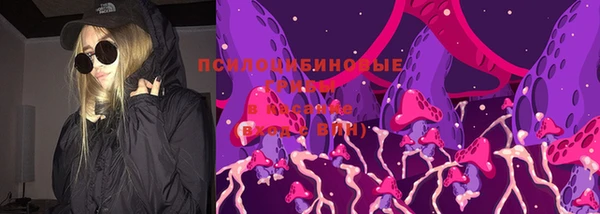 бошки Алзамай