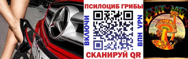 Галлюциногенные грибы Psilocybine cubensis  omg зеркало  Злынка 